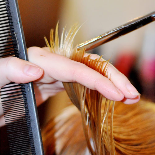 Cutting and Styling